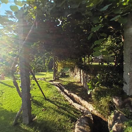 Quinta Da Chanca Paredes de Coura Exteriör bild