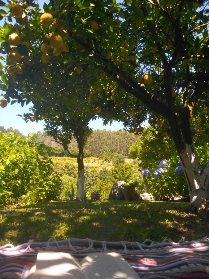 Quinta Da Chanca Paredes de Coura Exteriör bild