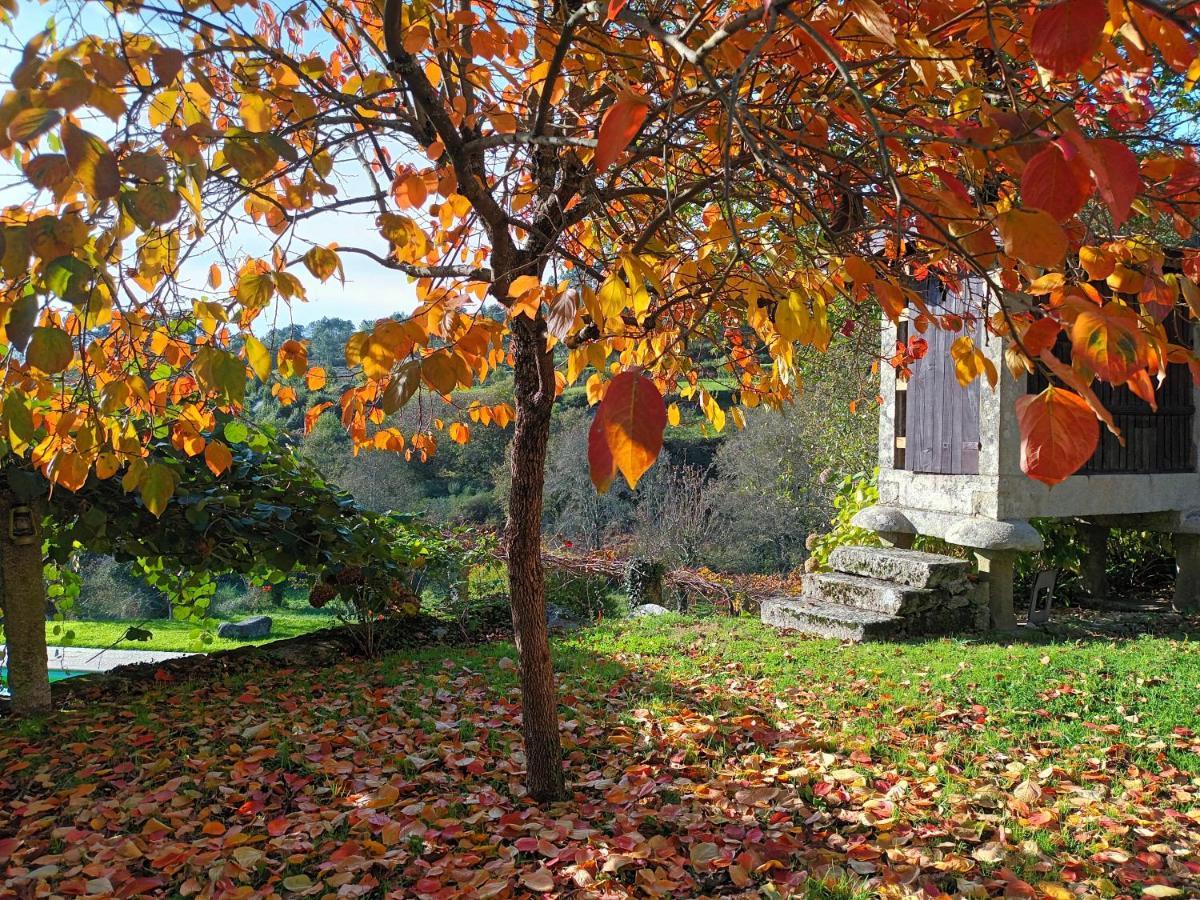 Quinta Da Chanca Paredes de Coura Exteriör bild
