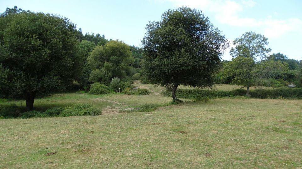 Quinta Da Chanca Paredes de Coura Exteriör bild