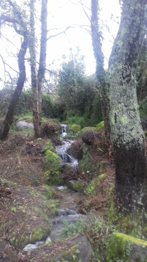 Quinta Da Chanca Paredes de Coura Exteriör bild