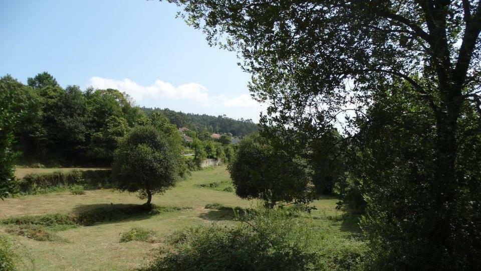 Quinta Da Chanca Paredes de Coura Exteriör bild